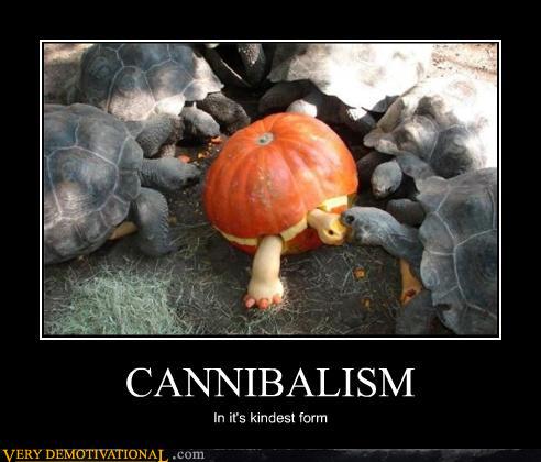 photo humour tortue "cannibalisme"  Demoti10