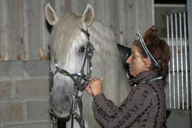 Mon nouveau cheval de spectacle! - Page 2 Img_8110