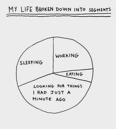 My Life in Segments Mylife10