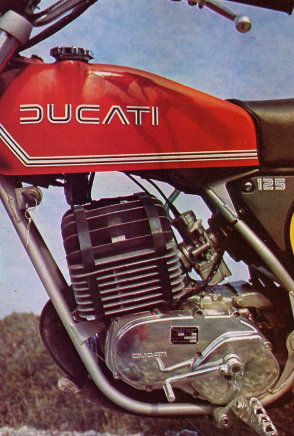 et une ducati , pour le jardin! A2367310