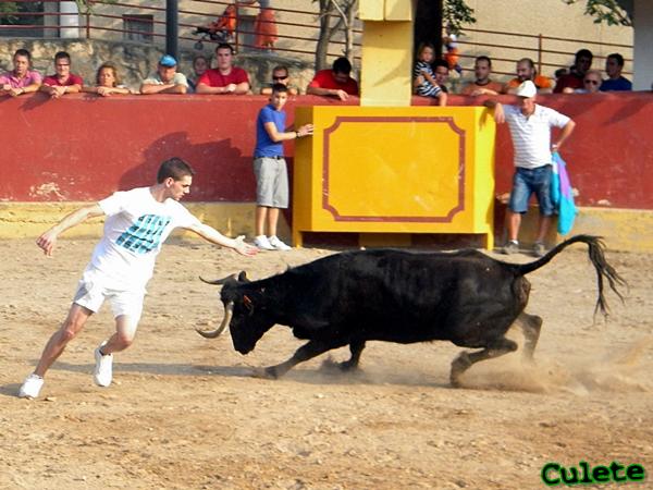 LONGARES (ZARAGOZA) 5/9/2010 110