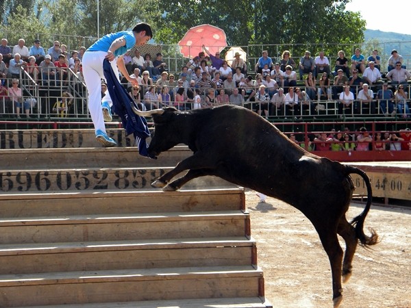 MORES (ZARAGOZA) CONCURSO DE GANADERIA 2011 128