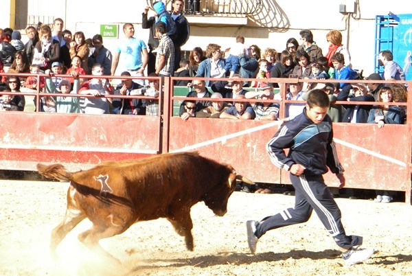 ALFAMEN (ZARAGOZA) SESIÓN DE VAQUILLAS DE HNS.FAURE 15/5/2011 1314