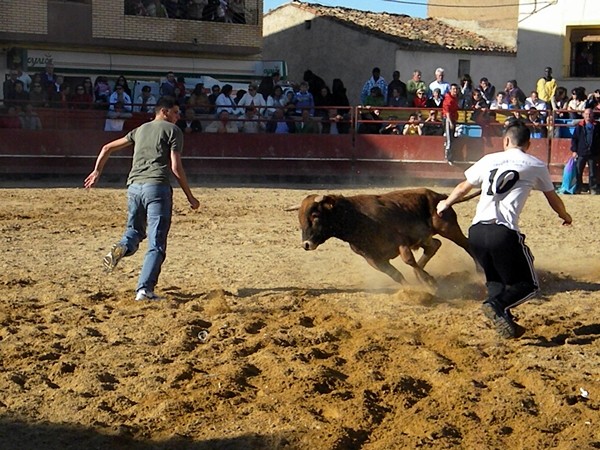 ALFAMEN (ZARAGOZA) SESIÓN DE VAQUILLAS DE HNS.FAURE 15/5/2011 1615