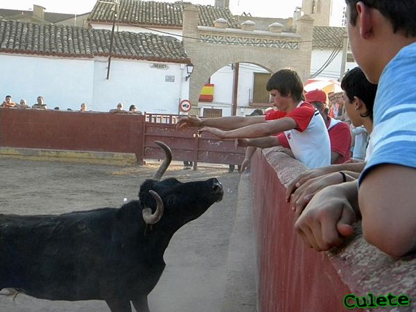 LONGARES (ZARAGOZA) 5/9/2010 2310