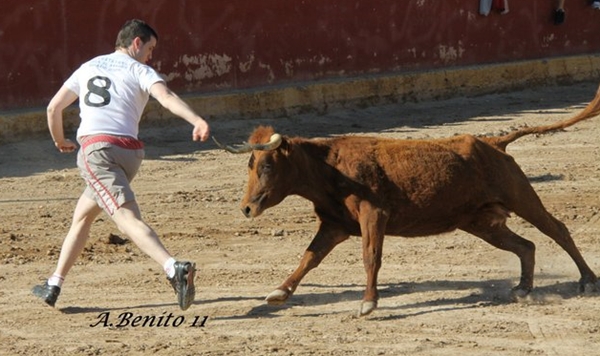 LONGARES (ZARAGOZA) SESION DE VAQUILLAS DE JAVIER SORIA 322