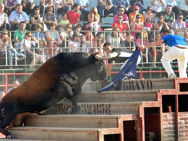 MORES (ZARAGOZA) CONCURSO DE GANADERIA 2011 5010