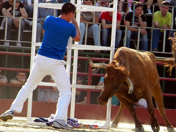 MORES (ZARAGOZA) CONCURSO DE GANADERIA 2011 5610