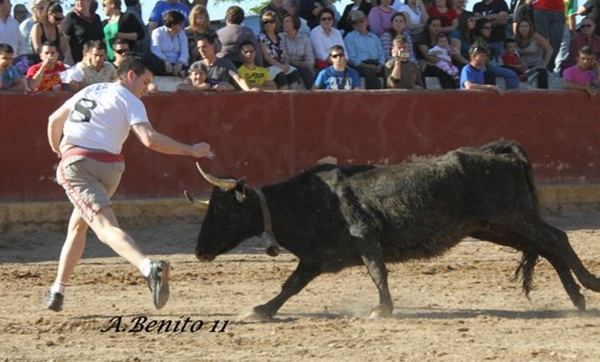 LONGARES (ZARAGOZA) SESION DE VAQUILLAS DE JAVIER SORIA 621