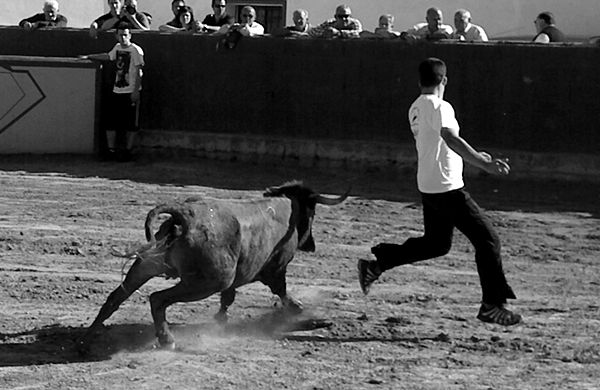 LONGARES (ZARAGOZA) SESION DE VAQUILLAS DE JAVIER SORIA 817