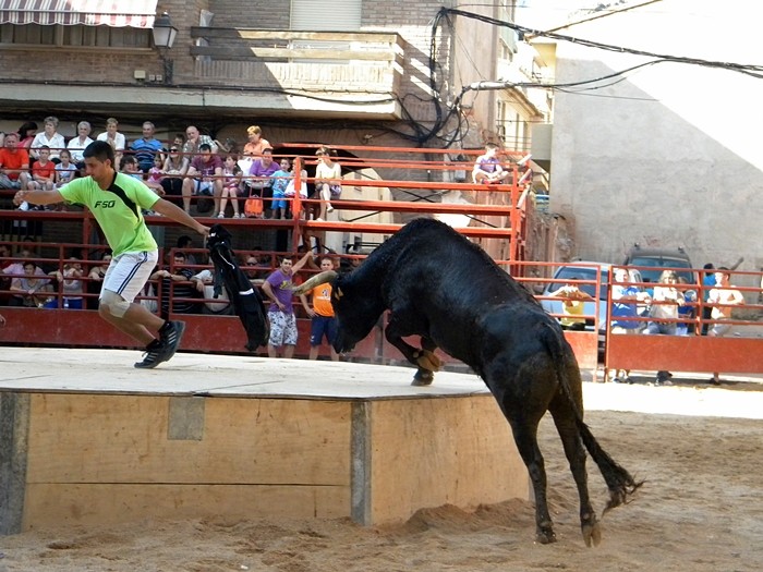 ILLUECA (ZARAGOZA) SESIÓN DE VAQUILLAS DE "EL RUISEÑOR" Dscn8014