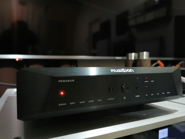 Musician Pegasus R2R Dac (sold)  Img_2055