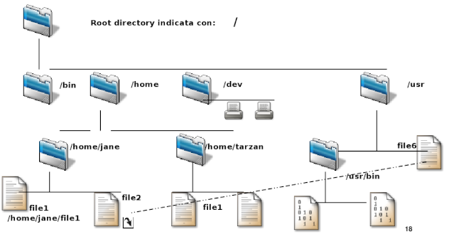 Come vengono organizzati i file nei file system Linux e Windows Linux-10