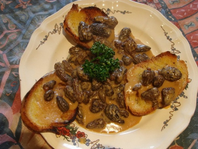 Les croûtes aux Morilles à la Franc Comtoise