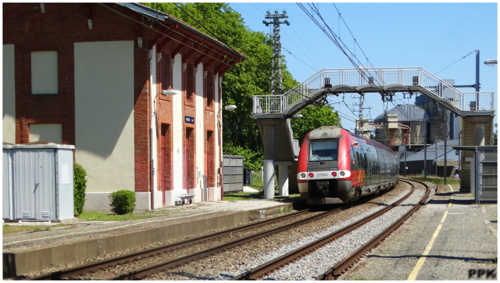 Photos et vidéos de la ligne Bordeaux - Toulouse - Narbonne - Sète (Fil 3) - Page 4 31_baz10