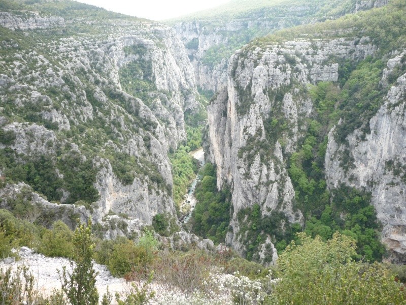 Session 2011 des gorges du verdon ouverte! - Page 2 P1030620