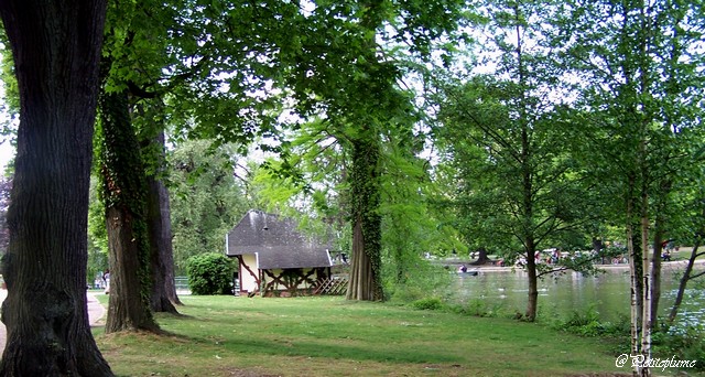 La petite maison au bord du lac  Copie266