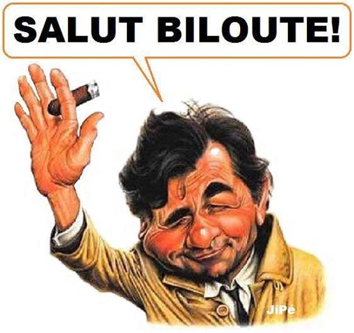 Bonjour à tous et merci de votre accueil ! Bilout72