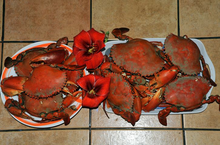 ce soir au menu .... Crabes  !!! _dsc3013