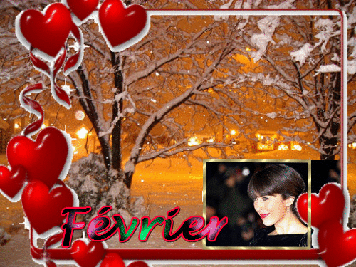 *Nolwenn ma passion* Bienvenue chez Jeannette 83 16822811