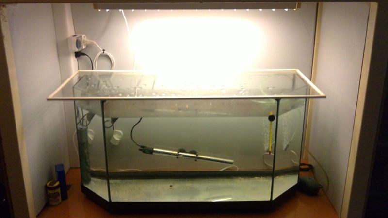 Isolation aquarium 05310