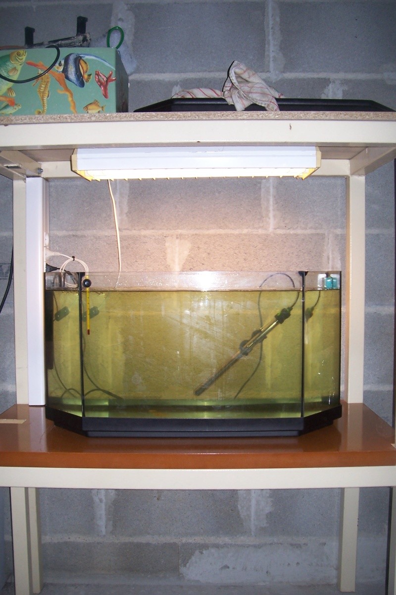 Isolation aquarium 08110