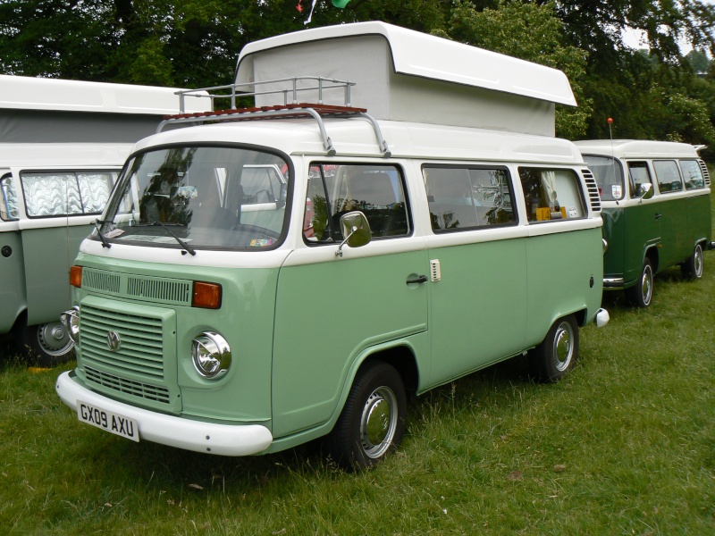 VW Expo 2011 - Sunday 5th June - Stonor Park, Henley - Page 2 P1030120