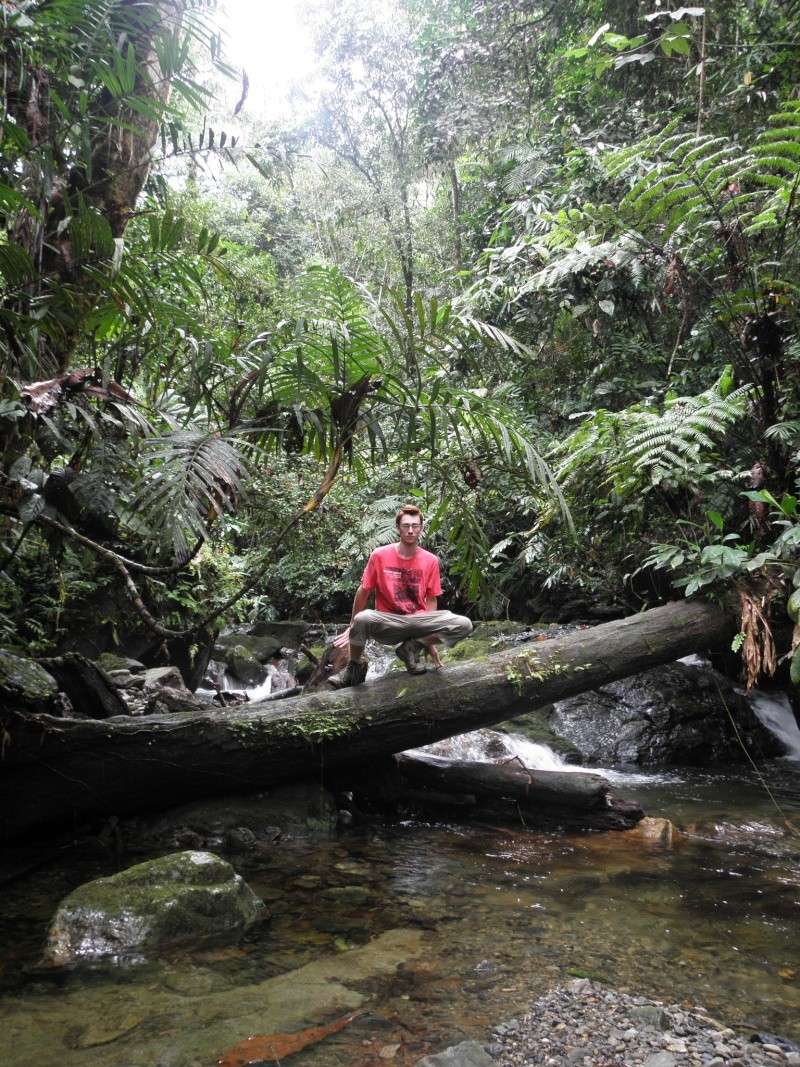 Borneo - Sabah 2010 P8061510