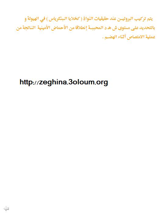 الوحدة 01: تركيب البروتين. الحصة التعليمية: 01 : مقر تركيب البروتين  1510