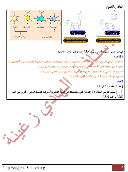 الوحدة 01: تركيب البروتين.الحصة التعليمية: 02 : انتقال المعلومة الوراثية   2611