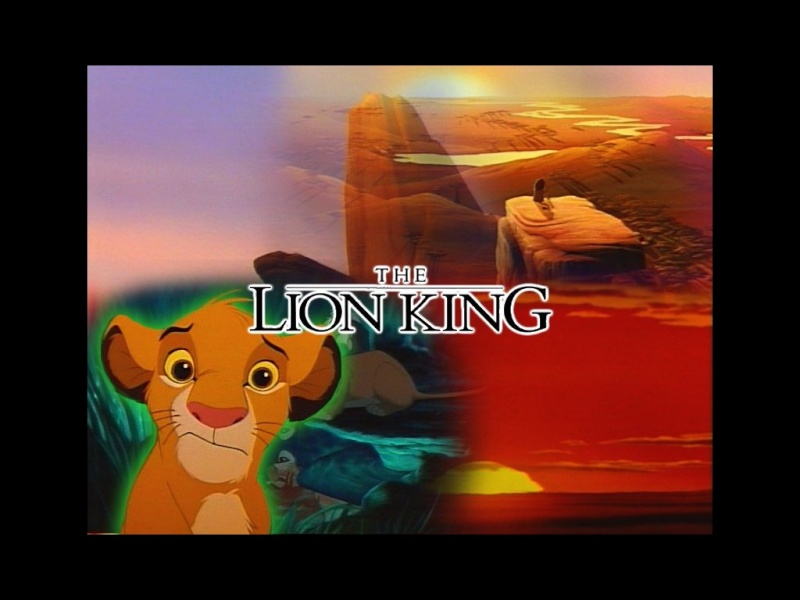 Fonds d'écran Le roi lion 2519