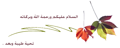 الأسود فخامة ورقي لديكورات منزلك مع فنجان قهوة من ستايسو Domain82