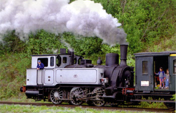 Dampftage Meiningen 2010 - Seite 3 Lok_lu10
