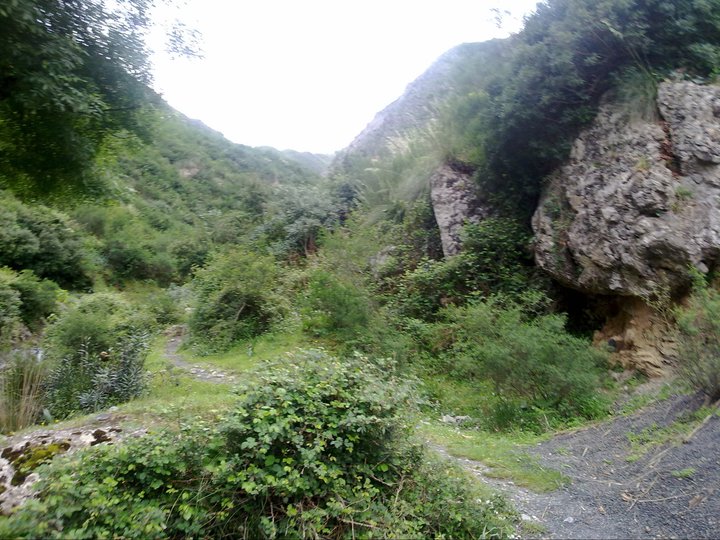 Tajeklayebt, à l'entrée du village d'Iouricene, Tizi - n'Berber 23029010