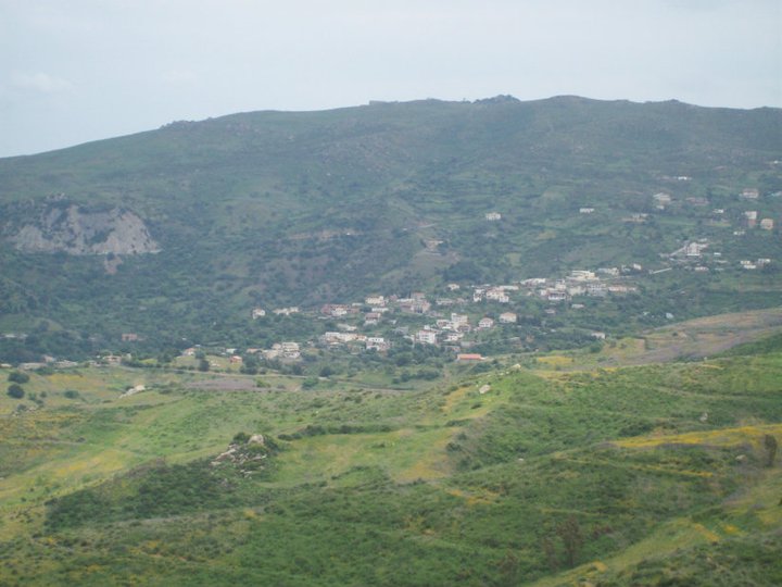 village tifra commune de tigzirt T11