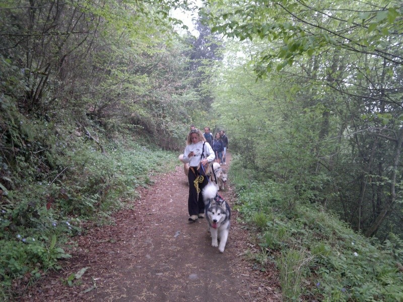 Urge dog trekking centro italia - Pagina 3 03210