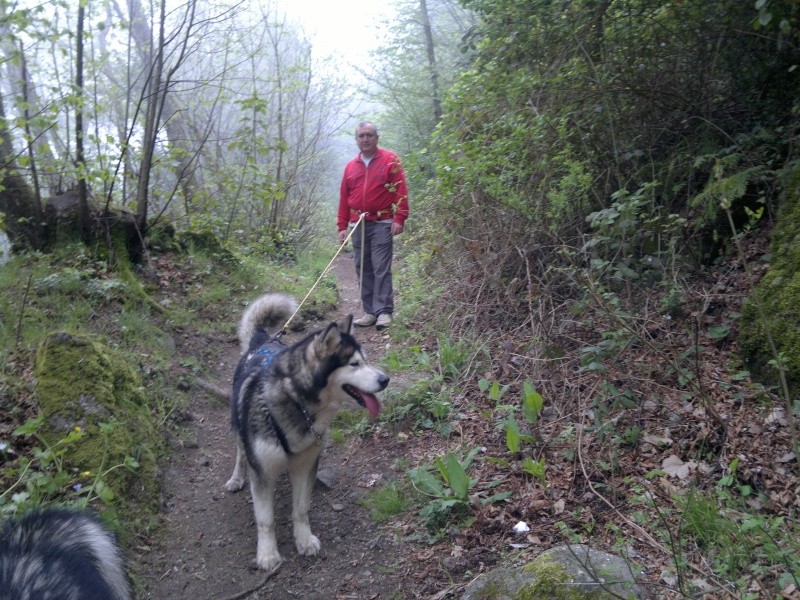 Urge dog trekking centro italia - Pagina 3 03610