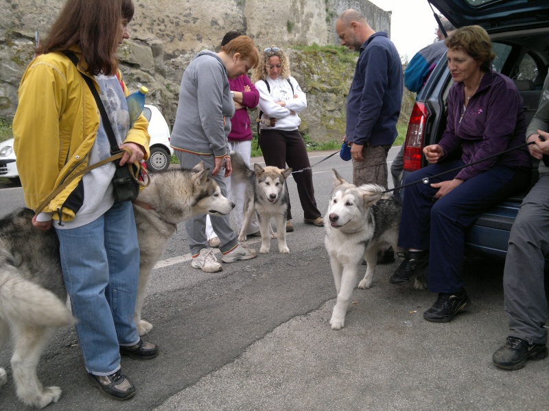 Urge dog trekking centro italia - Pagina 3 04410