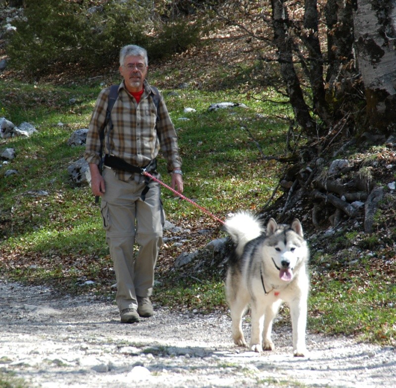 [b]DOG TREKKING BY CANIAVVENTURA[/b] - Pagina 2 Dsc_0029