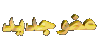 عضو جديد عضو جديد