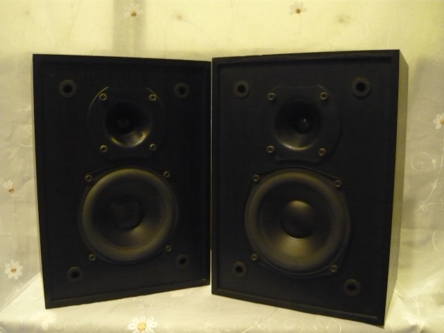 Klipsch KG 5 bookshelf speaker (used) SOLD P1060330