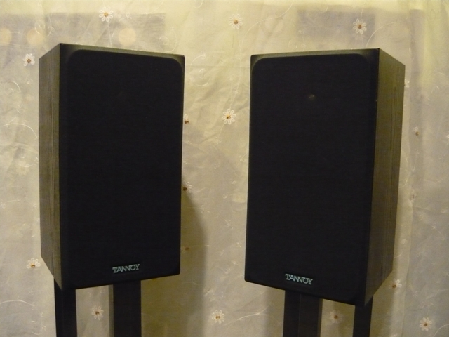 Tannoy E11 bookshelf speaker (used) SOLD P1060345