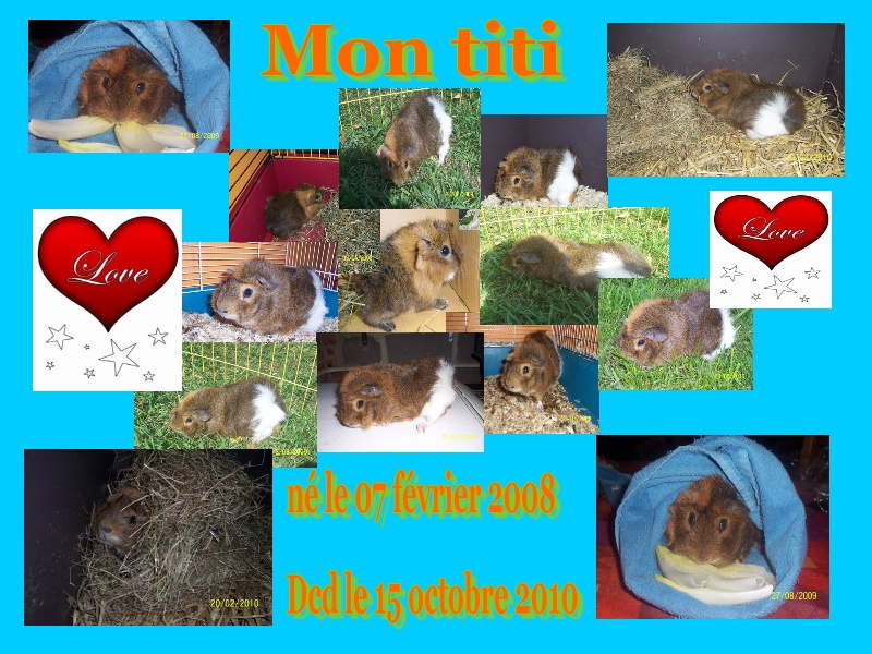 Adieu mon titi =( Mon_ti10