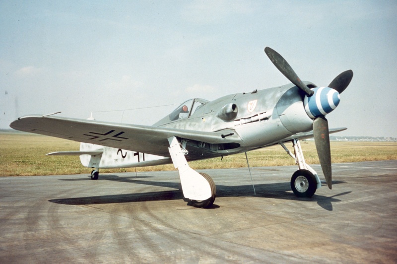 Le Fock Wulf 190 D "long nez" Focke-10