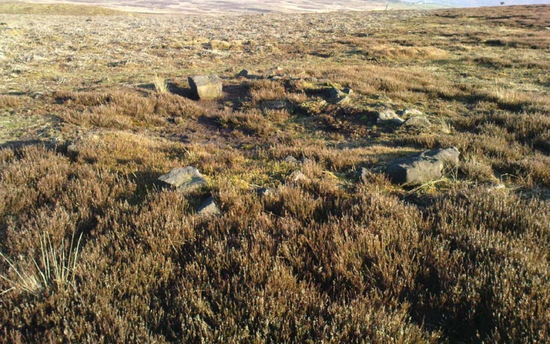 Another old stone circle found... Chambe10