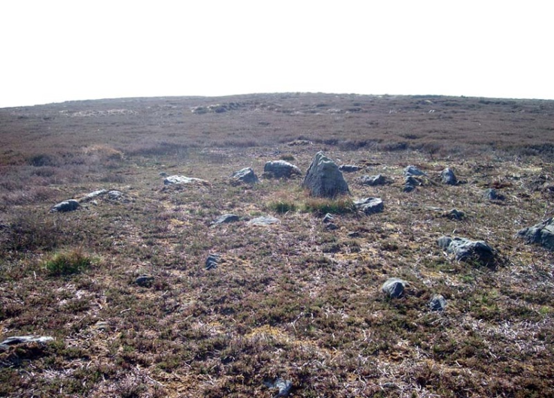 Mikki does it Again - New Prehistoric Circles Found! Hazell10