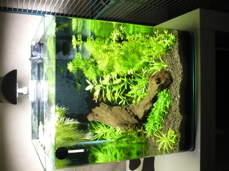 Nano 30L B) - Apachemarie P1050410