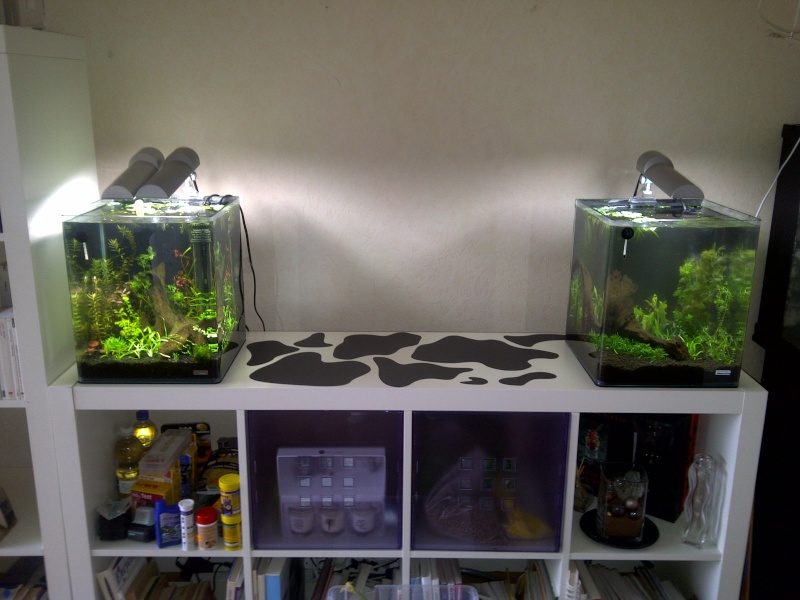 Nano 30L B) - Apachemarie Rennes13