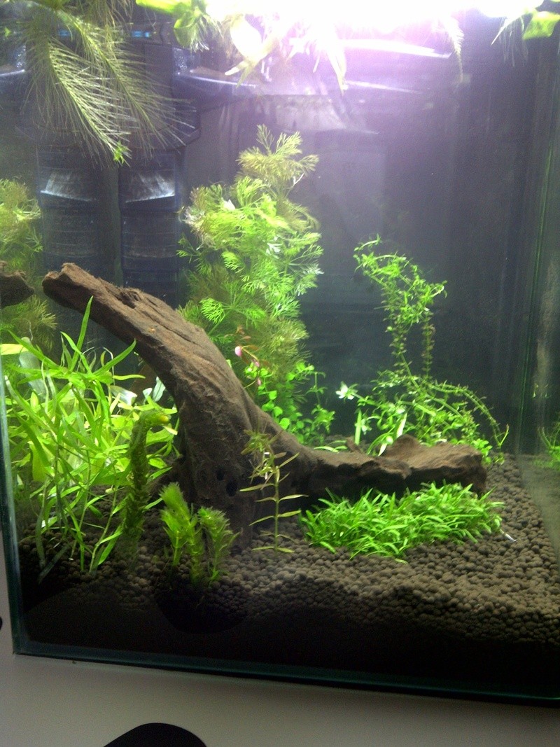 Nano 30L B) - Apachemarie Rennes18