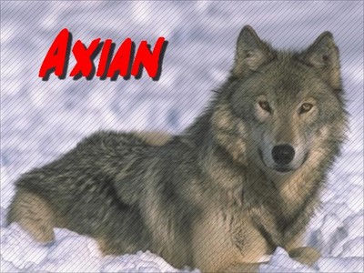 Axian arrive. Loup10